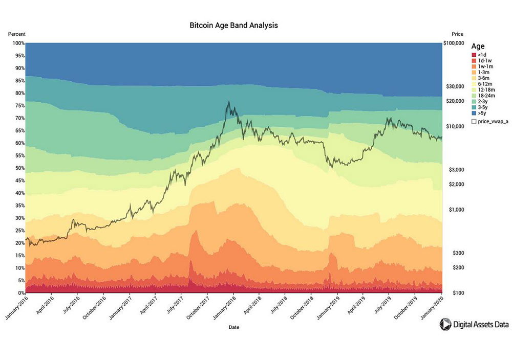 coindeskjapan　ビットコイン価格と保管期間の相関図