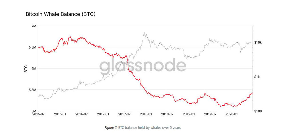 Glassnode BTC balance held Whales over 5 years