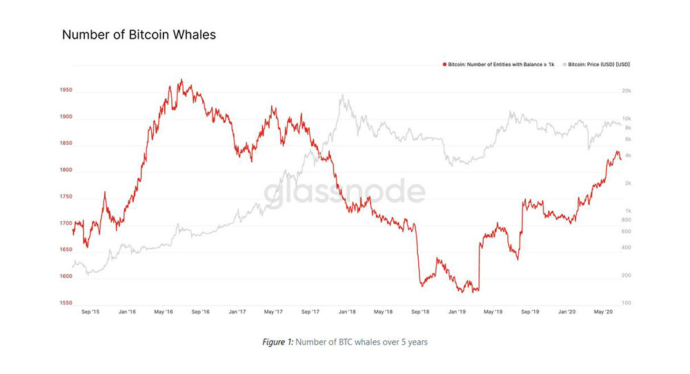 Glassnode Number of BTC Whales over 5 years