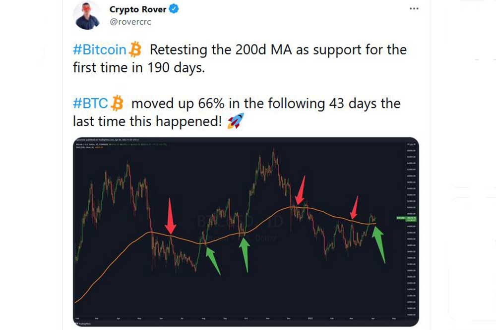 Crypto Rover Twitter