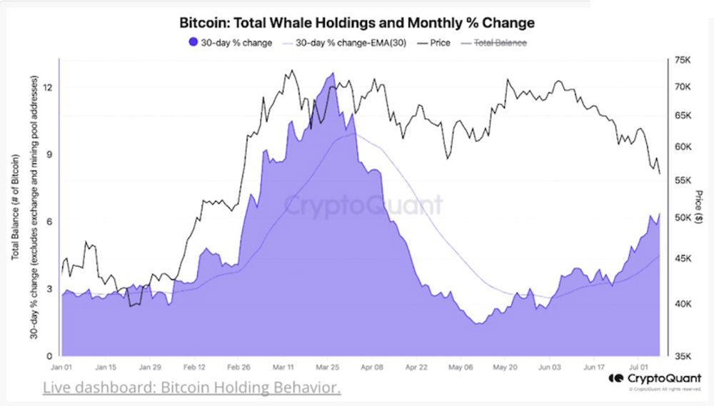 CryptoQuantレポート ビットコイン買い増し