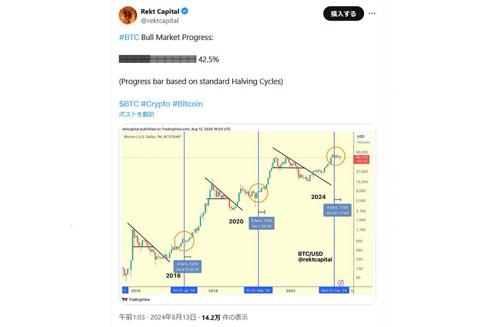 Rekt Capital X